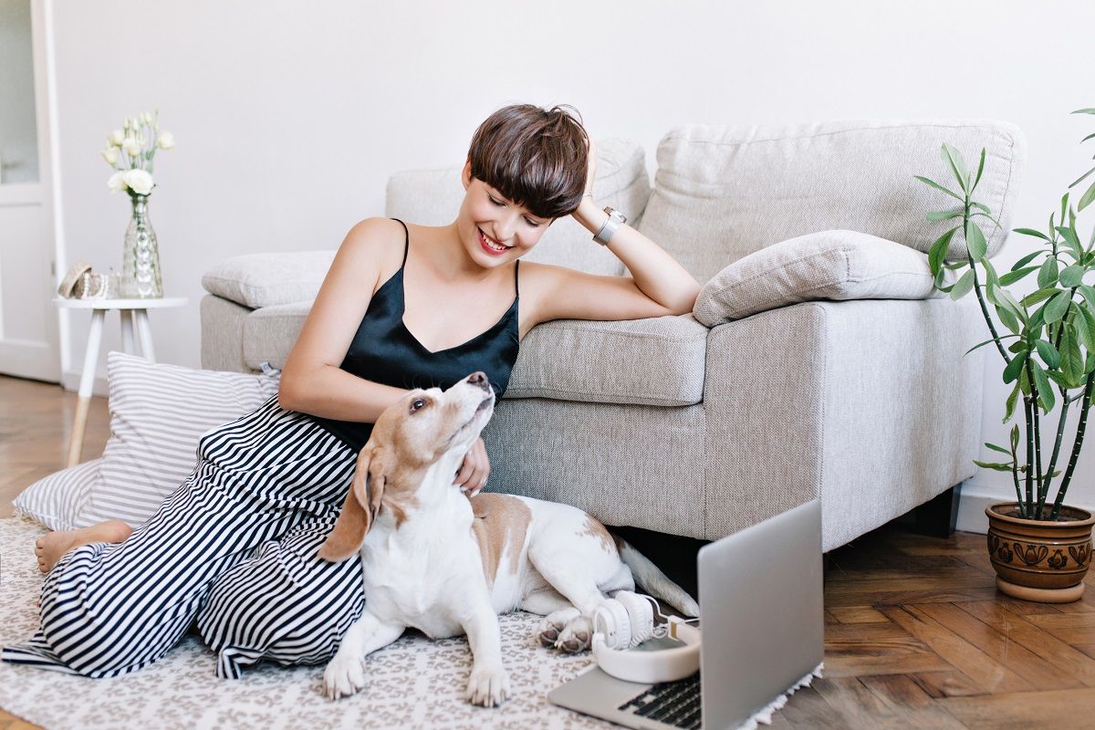 Six Tips to Keep a Clean Apartment – Even When You Have a Pet