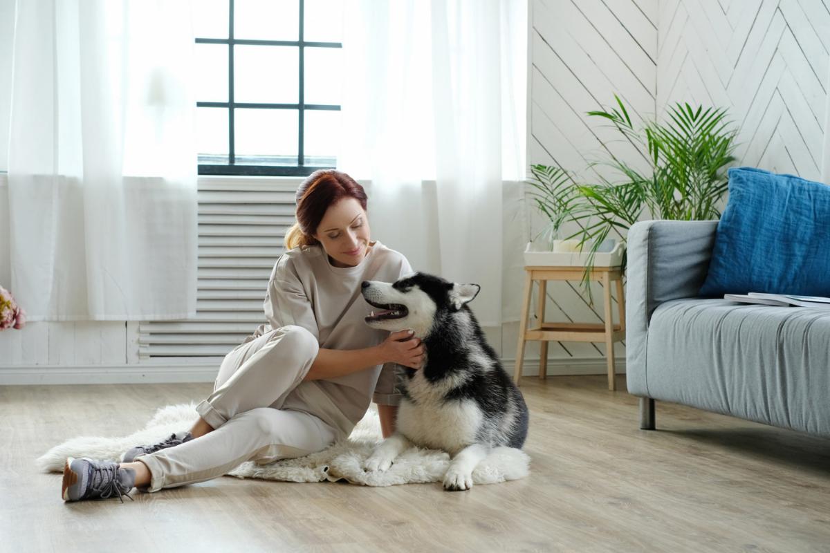 Four Tips to Find the Best Apartment for You to Share with Your Dog