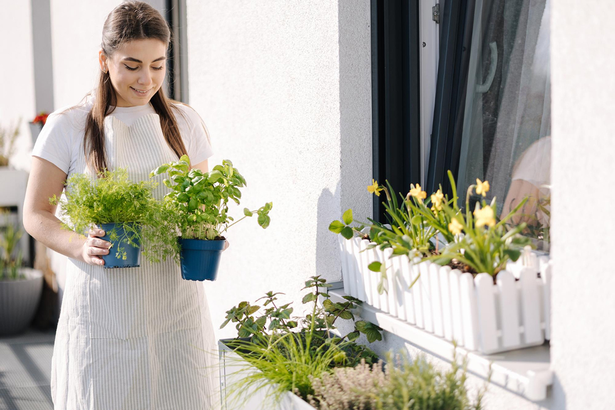 Tips for Transforming your Apartment Balcony into a Lush Garden Paradise