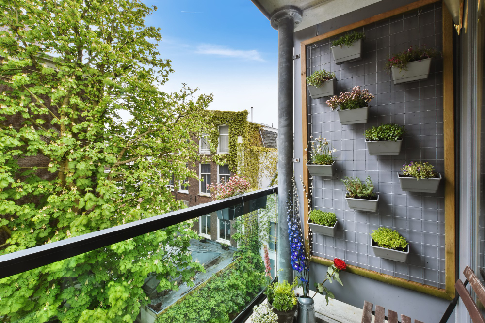 How to Start Your Own Balcony Garden