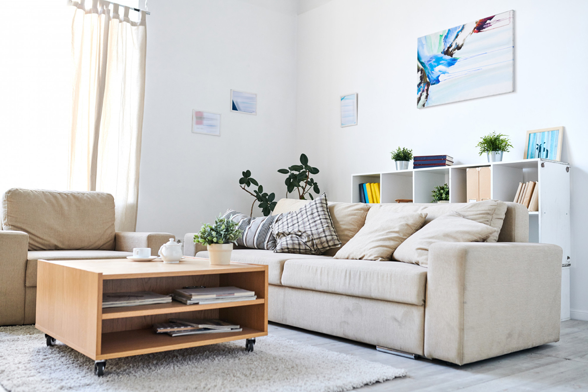 Living Room Apartment Must-Haves
