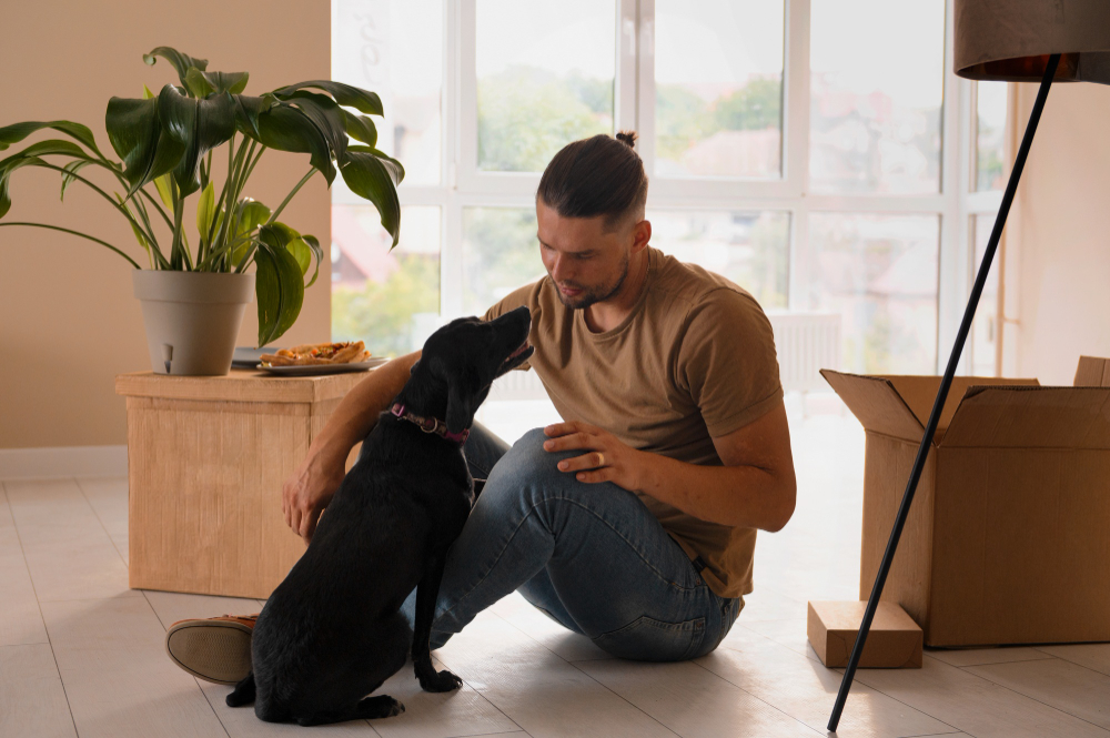 How to Puppy-Proof Your Apartment Perfectly