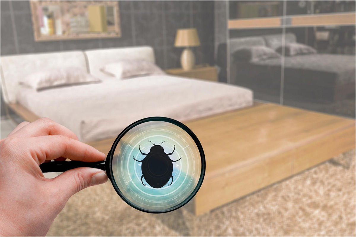 How to Get Rid of Bed Bugs in Your Apartment
