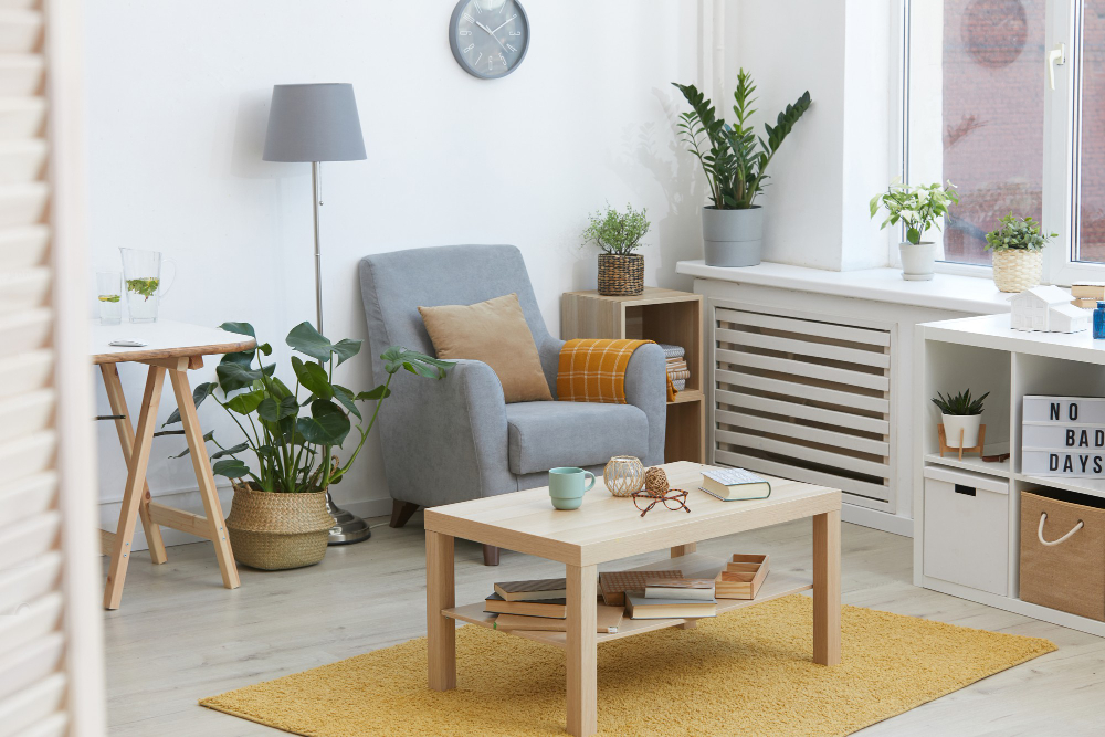 Furniture Pieces Everyone Needs In Their First Apartment