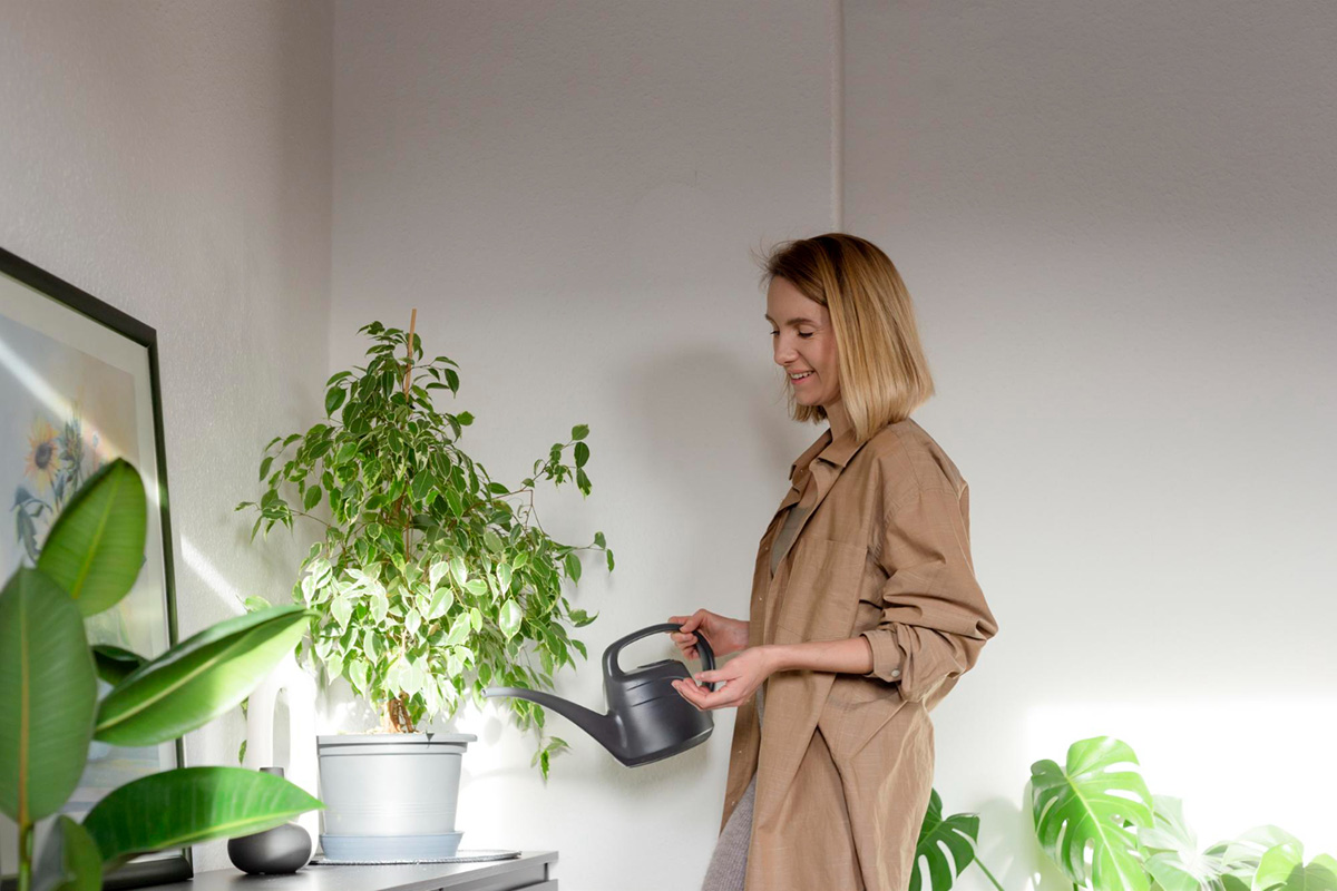 Environmental Apartment Design Features to Look For