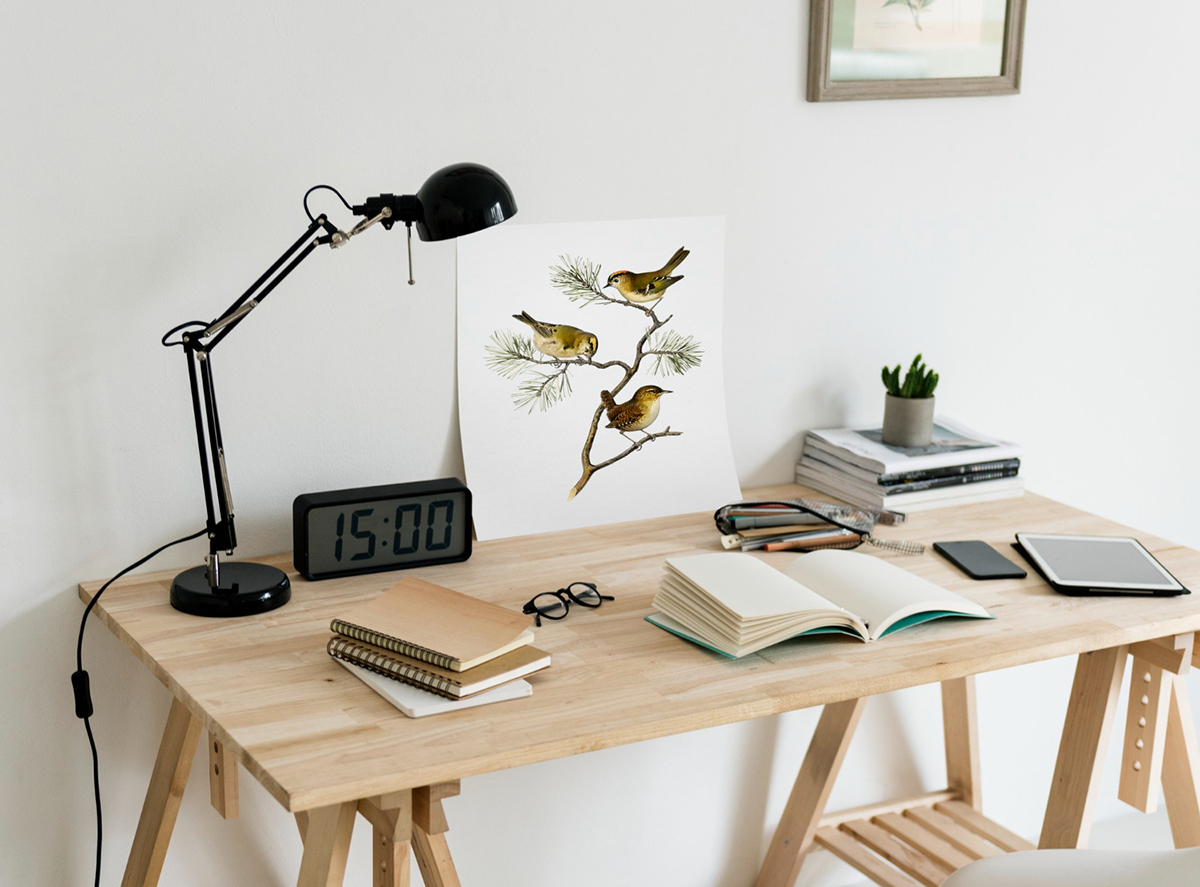 Creating a Productive Study Space in Your Apartment