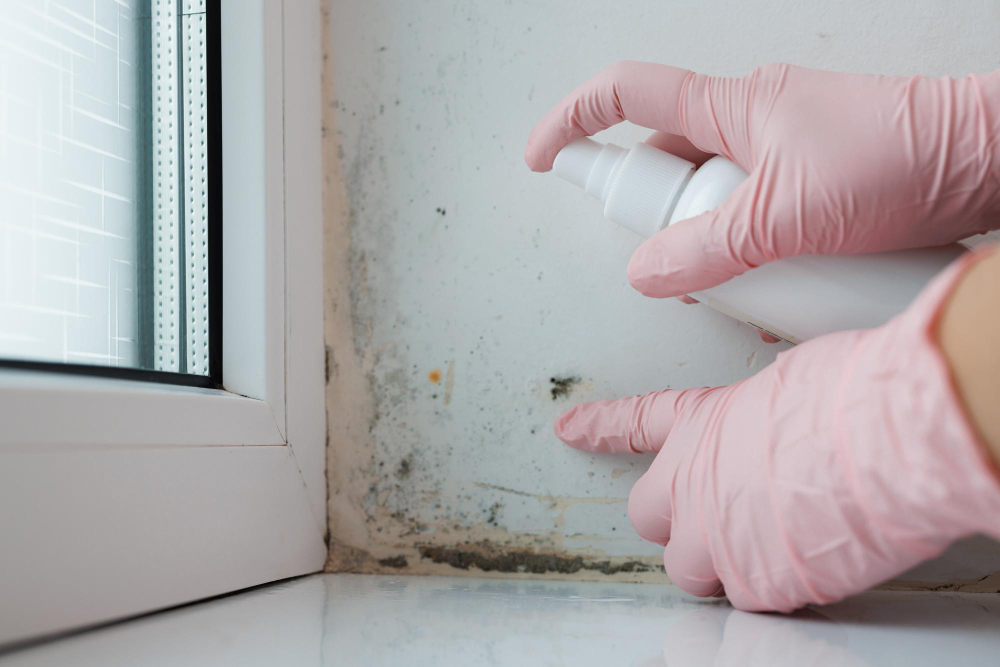Signs There’s Mold Hiding in Your Kitchen