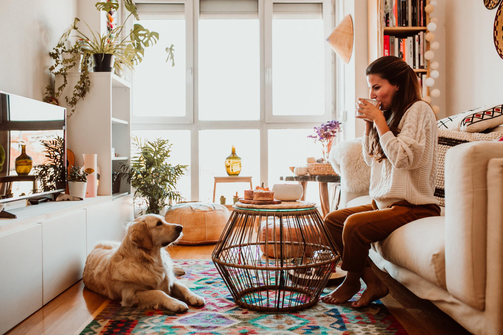 Pets in Apartments: What to Know Before You Adopt