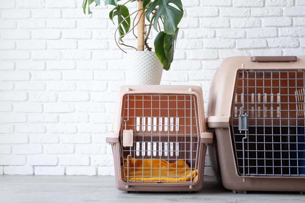How to Place and Style a Dog Crate in a Small Space